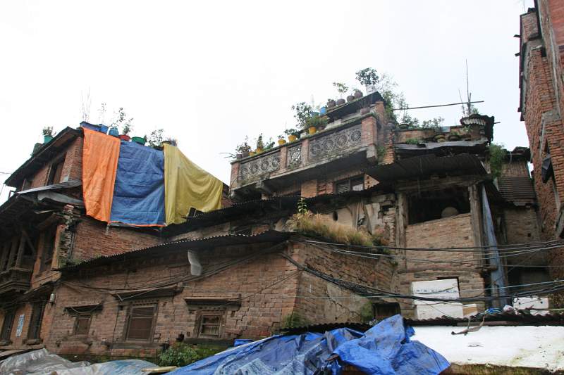 India & Nepal 2011 - 0317